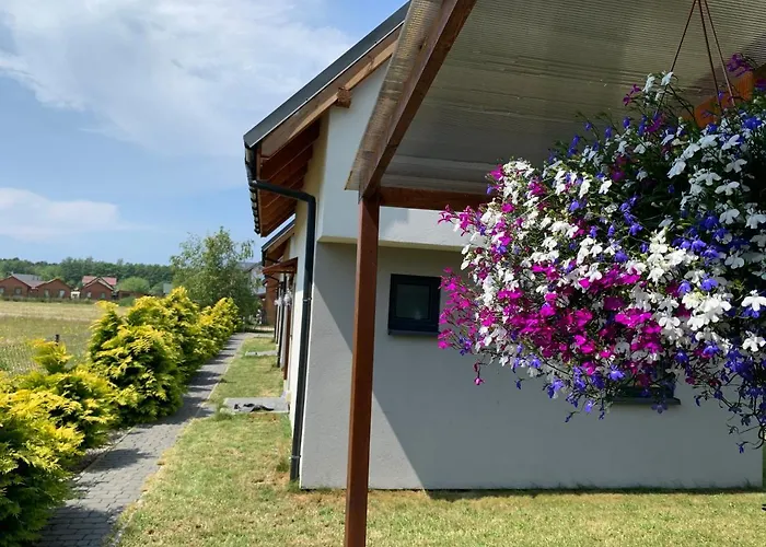 База отдыха Nadmorskie Blu Дембки